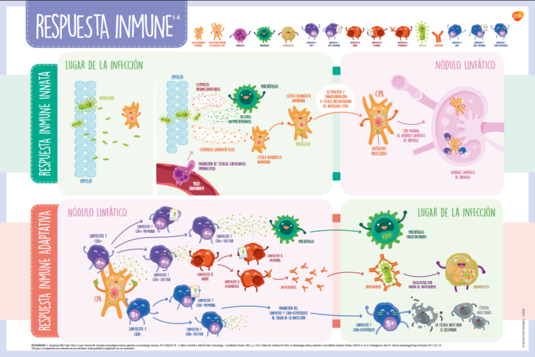 GSK lanza una web de divulgación de inmunología
