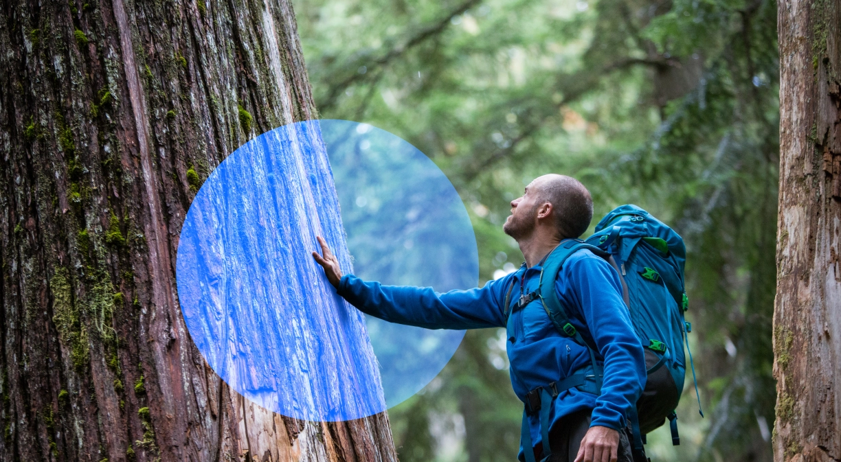 Telefónica, líder en gestión climática