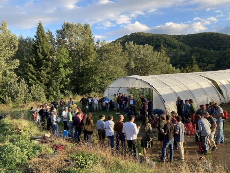 VIII Encuentro Regenerado: aprendizaje de cuatro días por la Agricultura Regenerativa