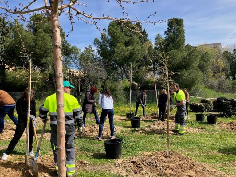 Parcesa sigue apoyando la reforestación del Arroyo de la Vega – El Juncal de Alcobendas por cuarto año consecutivo